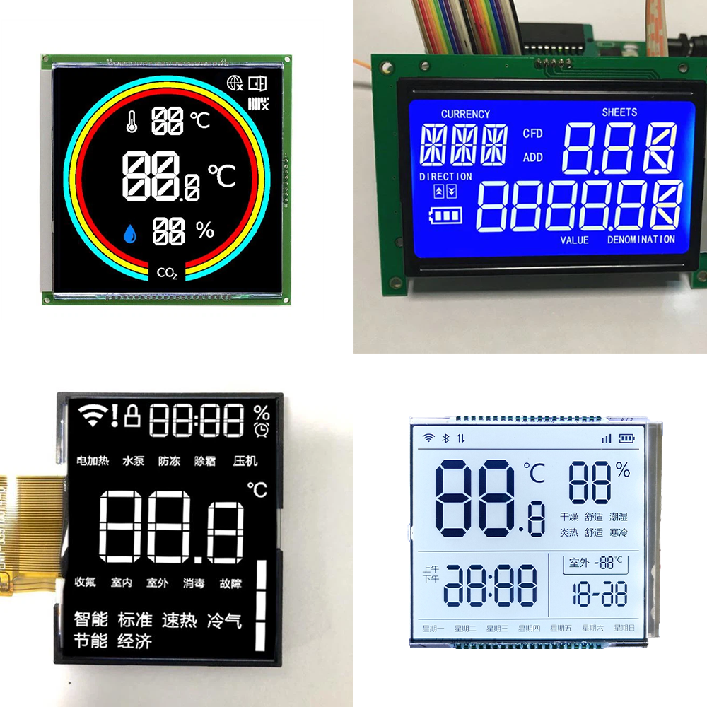 Custom Various Segment LCD Module