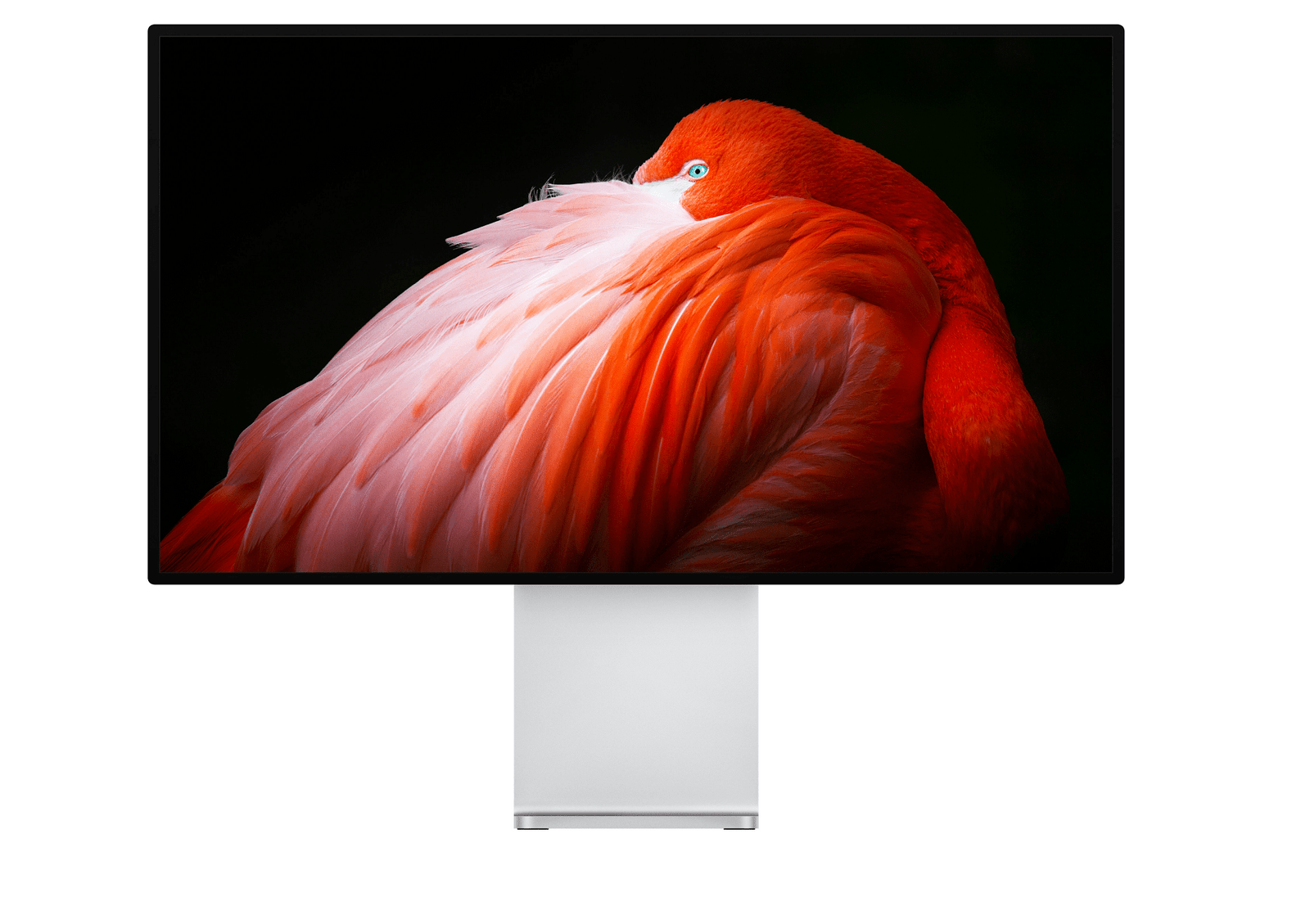 apple pro display xdr