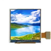 1.54 inch TFT LCD Module - 015H017