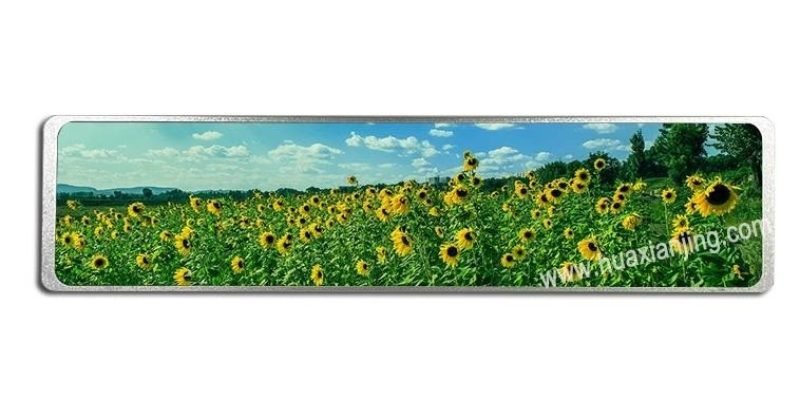10.11 inch TFT LCD Module - 101B001