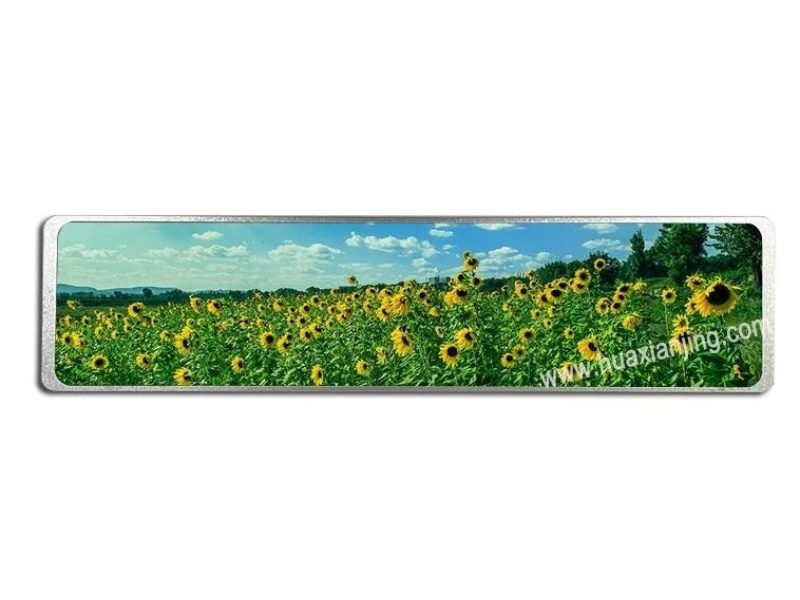 10.11 inch TFT LCD Module - 101B001