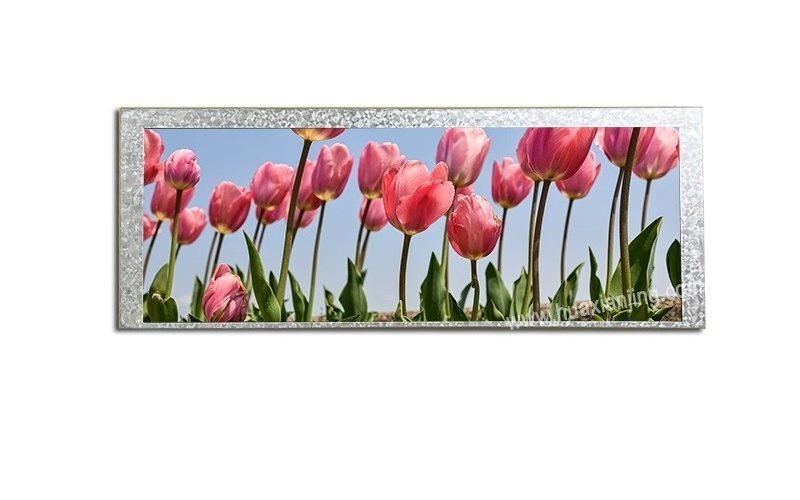 6.86 inch TFT LCD Module - 686B001