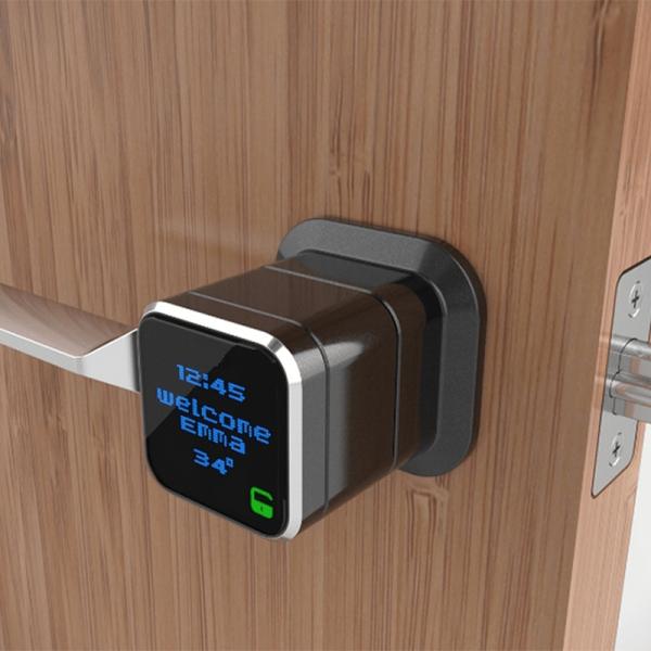 OLED Display Module Application On Smart Lock